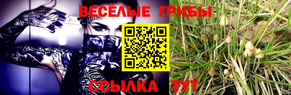 как найти закладки  Псилоцибиновые грибы мухоморы  Вход с VPN  Мценск 